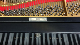 Steinway Model M Stock Item 01