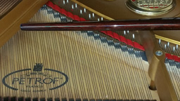 Petrof - Stock item 04